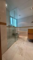The Light @ Cairnhill (D9), Condominium #554731251